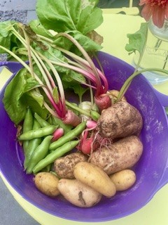 harvest, durston garden products
