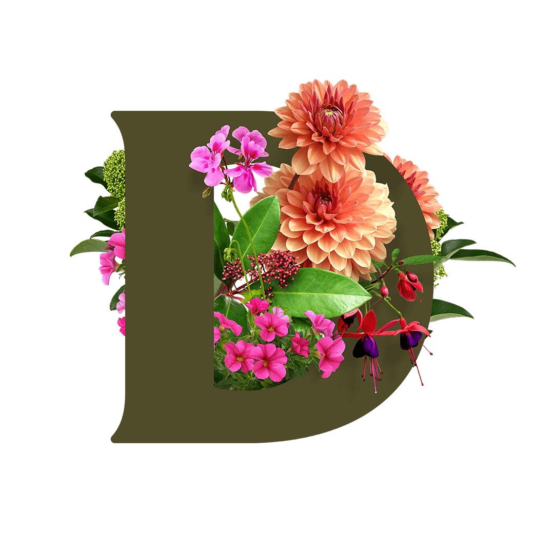Durstons D